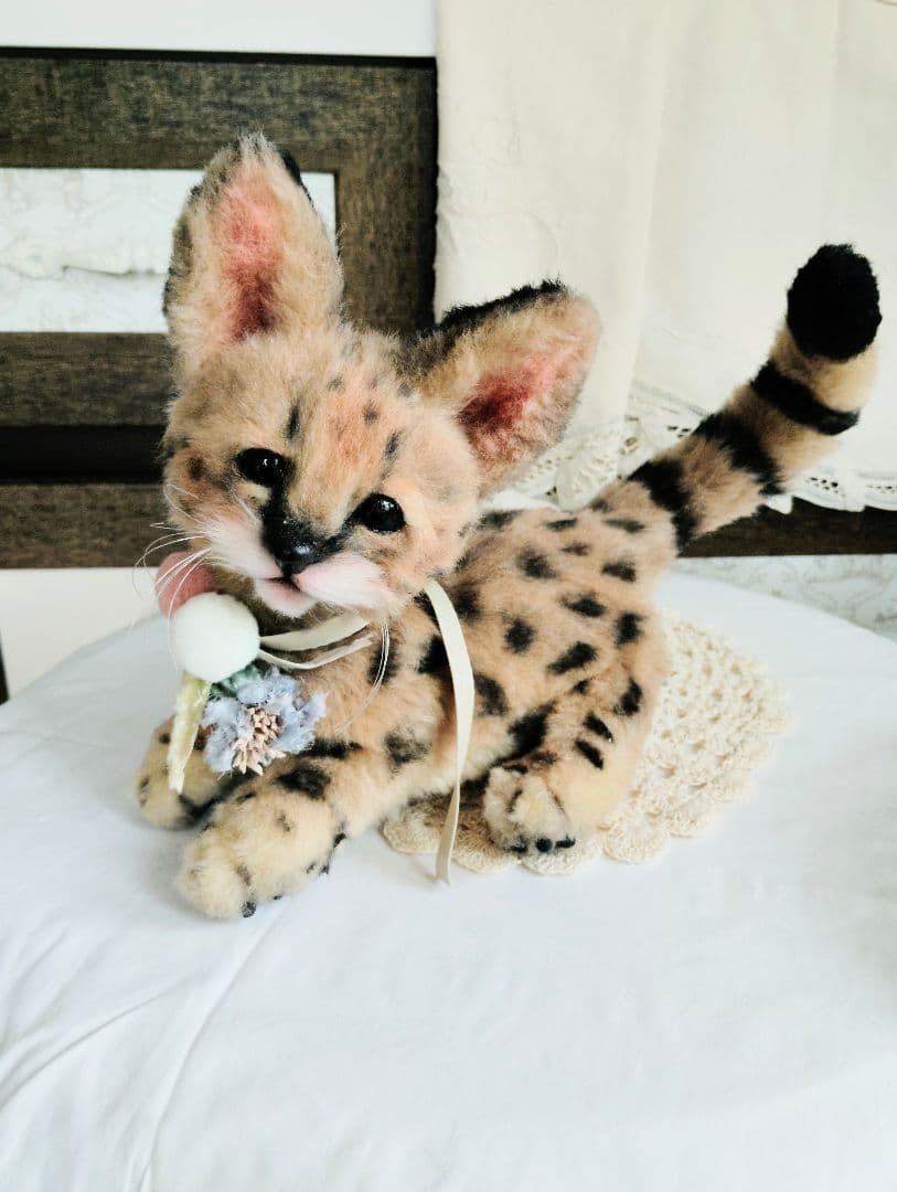 生後2ヶ月♡ベビーサーバルキャット♡アートドール♡ぬいぐるみ♡子猫