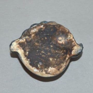 李朝瑠璃釉菊石形水滴』 李氏朝鮮 アンモナイト形 硯滴 水盂 文房具