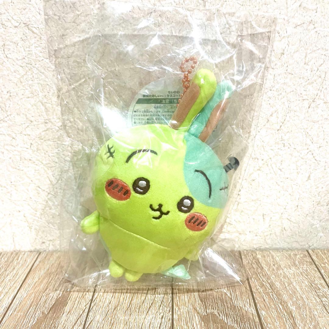 ウィル Will コスプレイヤー 2025生誕祭BOX 4セット