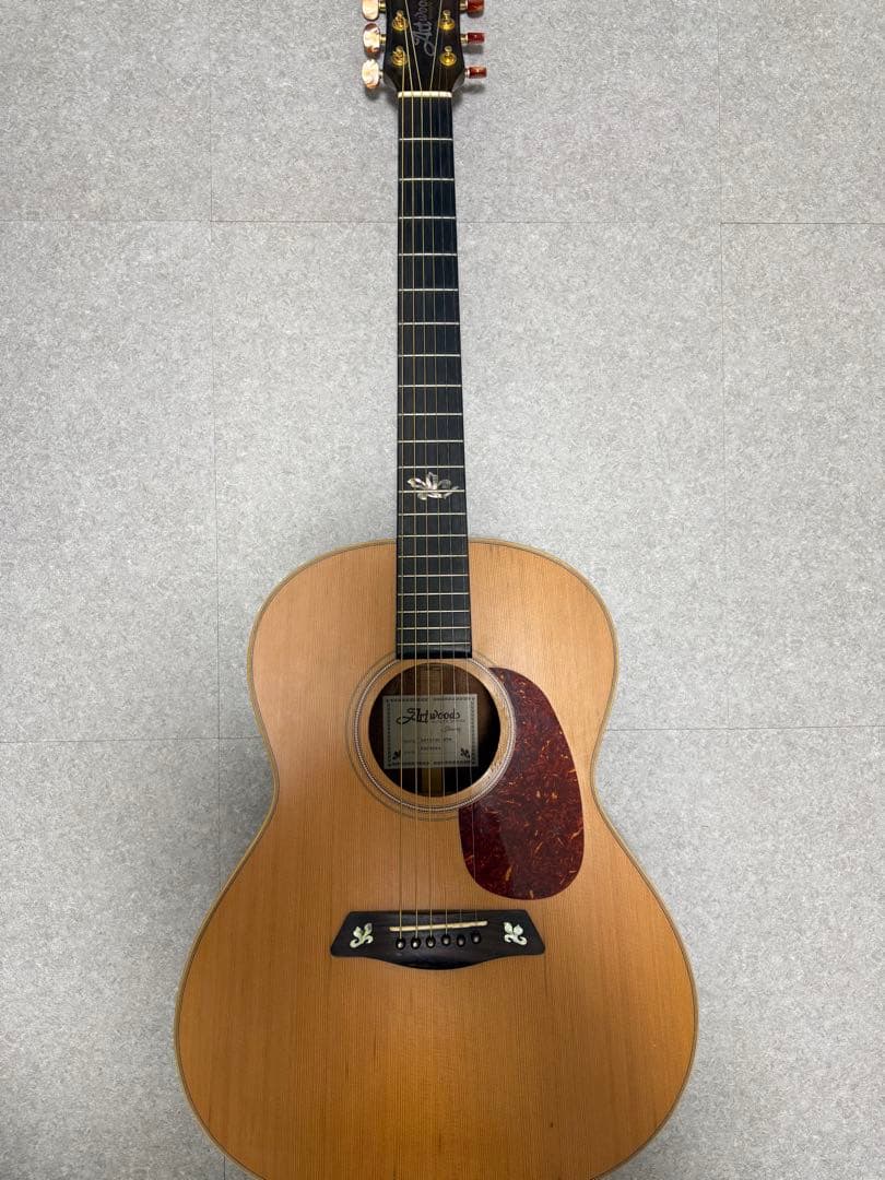 ギター Ibanez Artwood AW1010C Ibanez Artwood AW1010C NTM アコースティックギター 本体のみ 美品