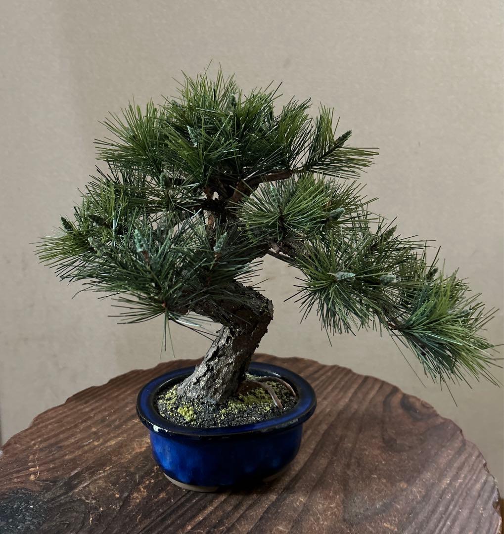 フェイクグリーン レプリカ 造花 盆栽 松 置物 - メルカリ
