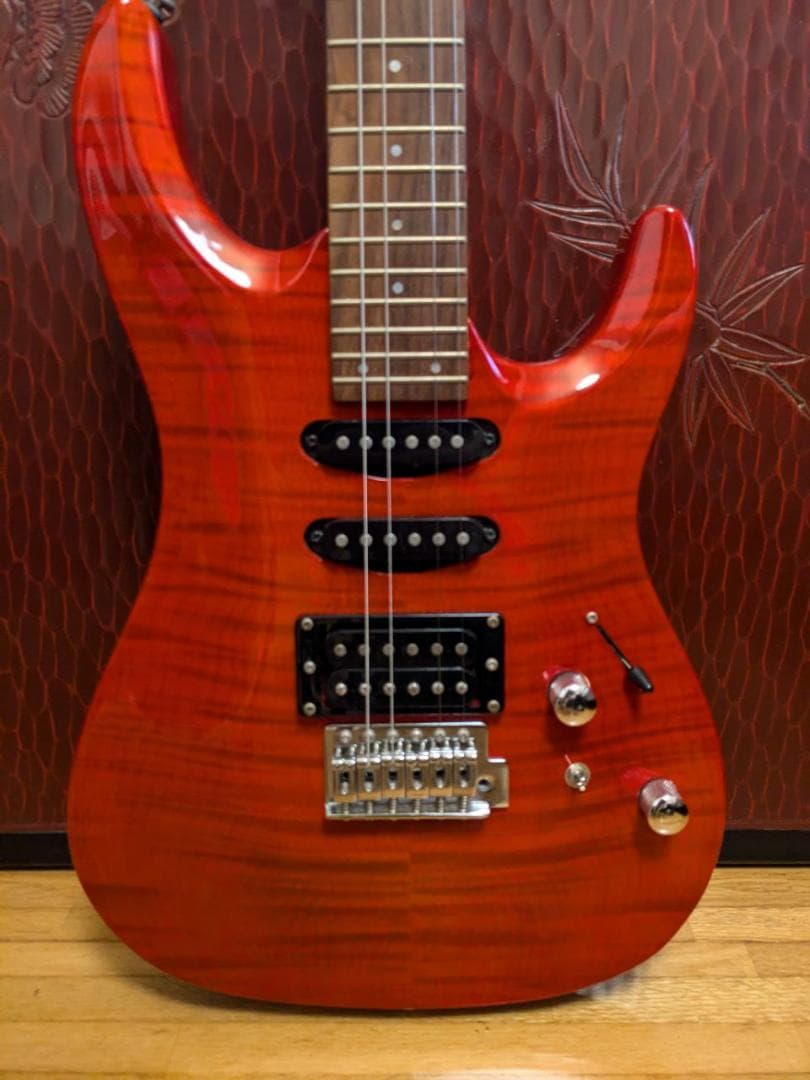 Aria Pro II エレキギター と RITTER ギターケース Amazon.co.jp: RITTER RGB4‑DE ANT BERN Double Electric Guitar