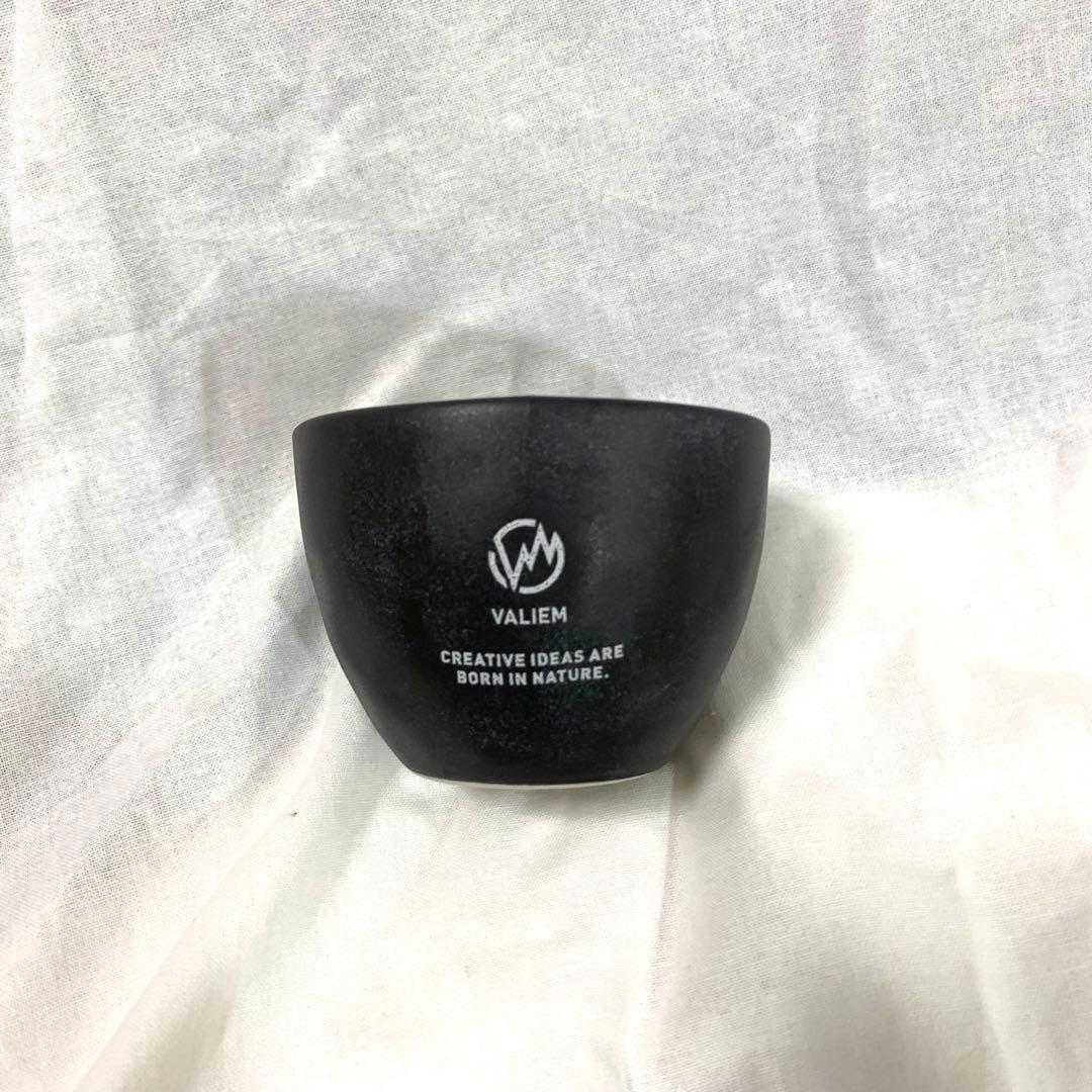 valiem 鉢　インビシブル　多肉植物　根塊植物　グラキリス fit=scale-down,w=1200