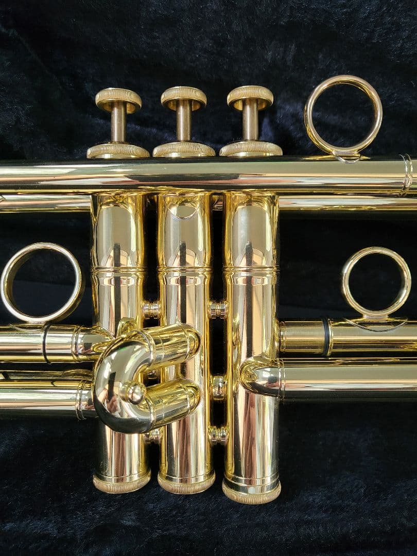 Carol Brass ZORRO C-line Cozy Special - メルカリ