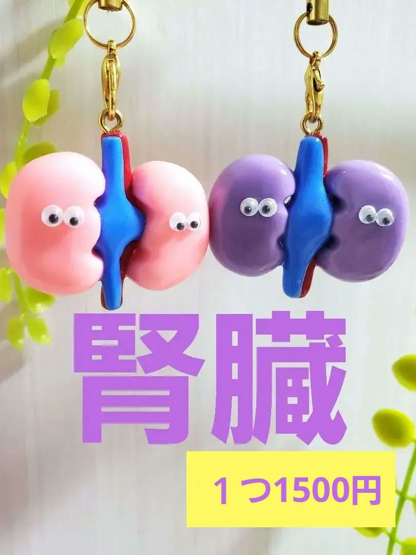 腎臓 手作り 臓器 キーホルダー ハンドメイド - メルカリ