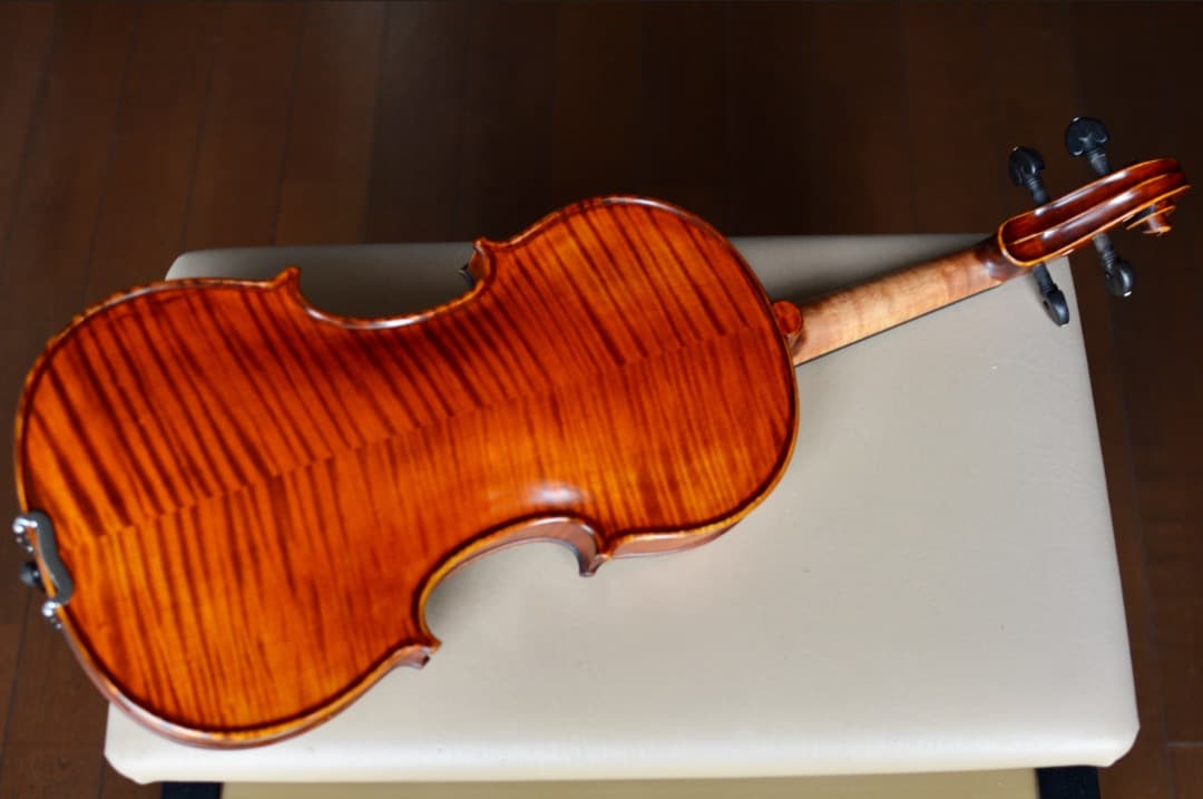 超美品】Gliga CRISTIAN バイオリン 4/4 - メルカリ