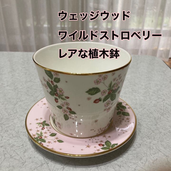 ウェッジウッド レアな植木鉢 ワイルドストロベリーBLOOM（箱付き