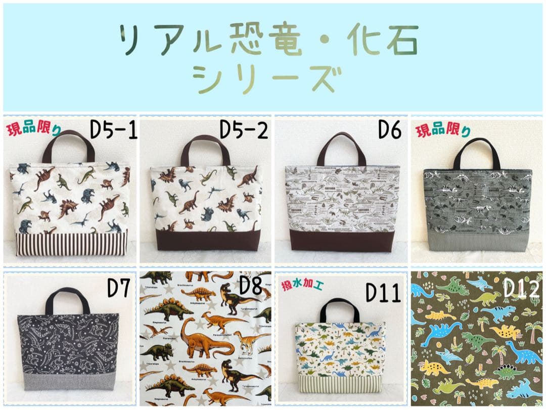 入園 入学 ☆レッスンバッグ　オーダー 受注注文 男の子　《恐竜　ダイナソー》