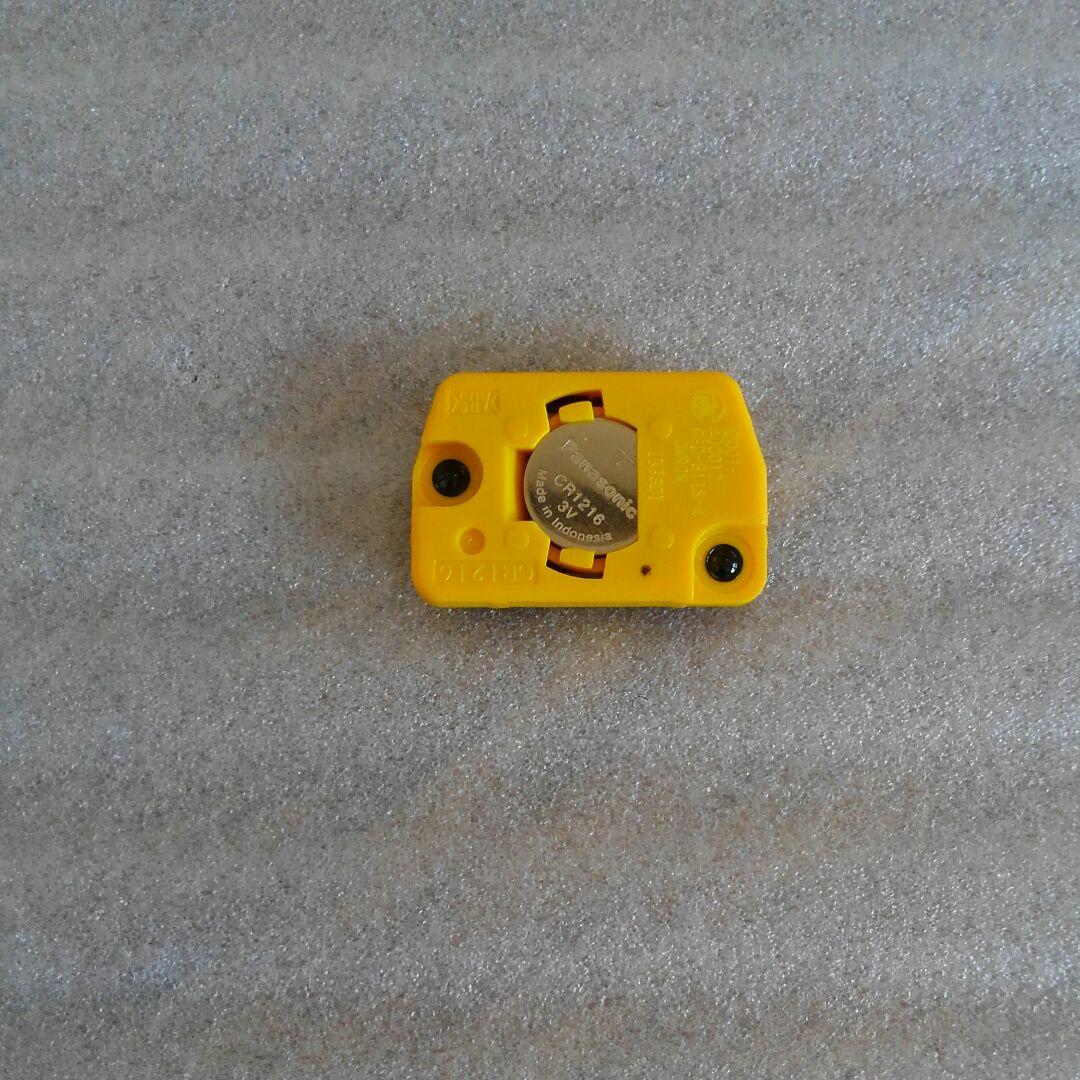 五十嵐清華 サイン入り 売れ筋 チェキセット