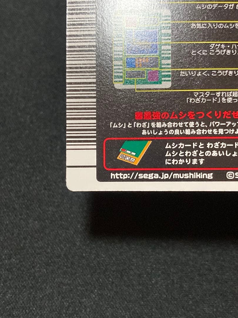 またこ様専用 ヘルクレスオオカブト2003 SPRING春 学名黒バーコード