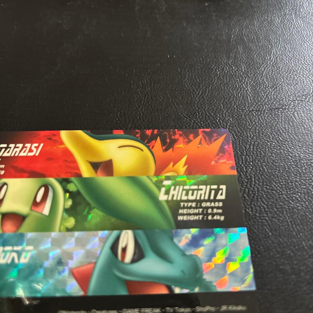 ポケモンカードダス プリズム06 チコリータ/ヒノアラシ/ワニノコ