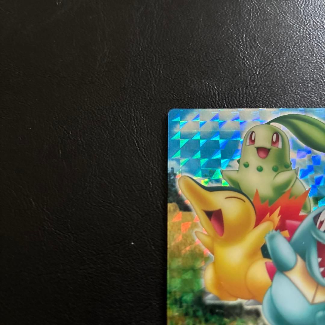 ポケモンカードダス プリズム06 チコリータ/ヒノアラシ/ワニノコ