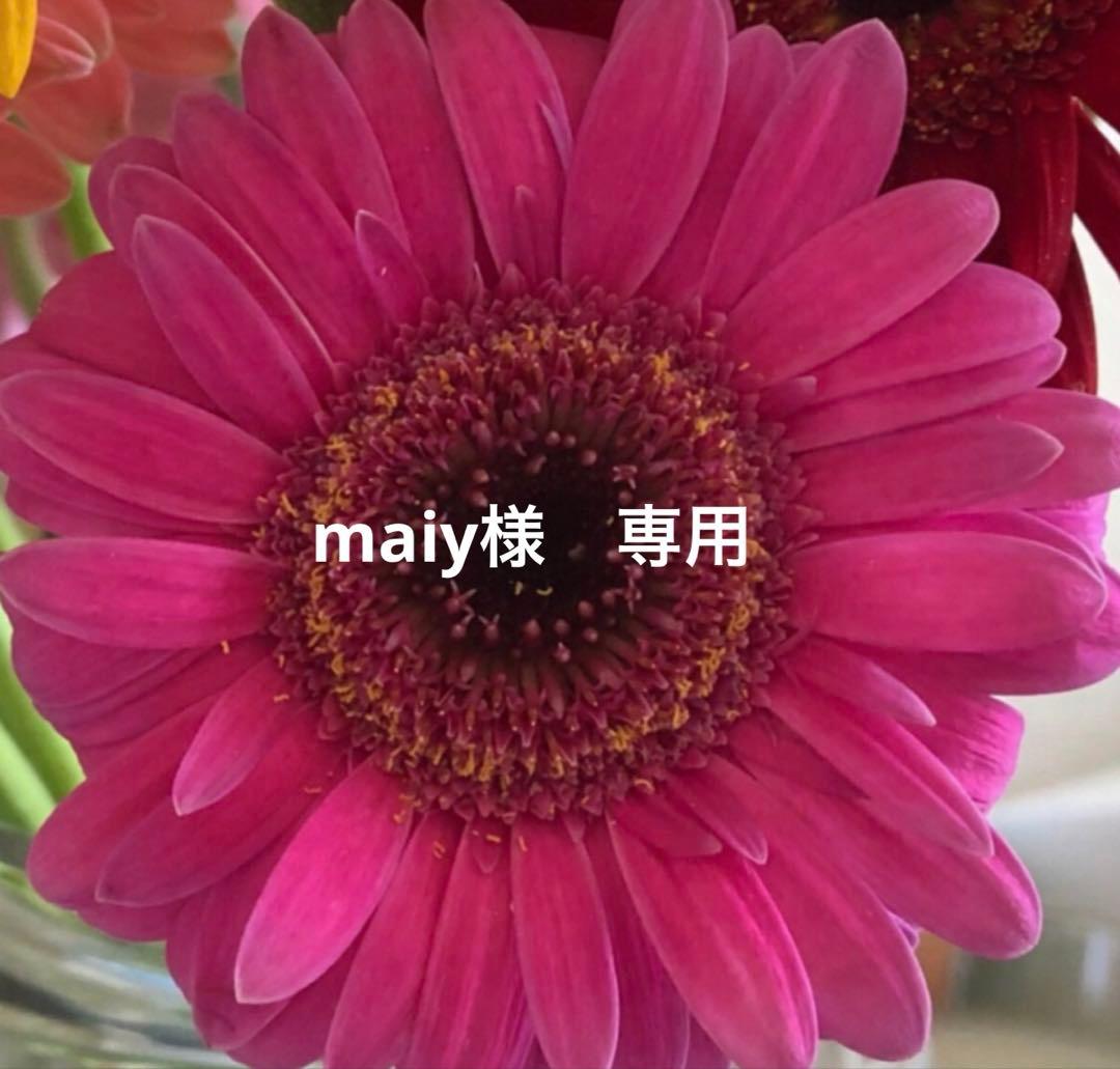 SAIBOWクリーム2個 /APPフラセラム60 SAIBOW クリーム - 【公式】ドクターソワ（DR.SOIE）オンラインストア