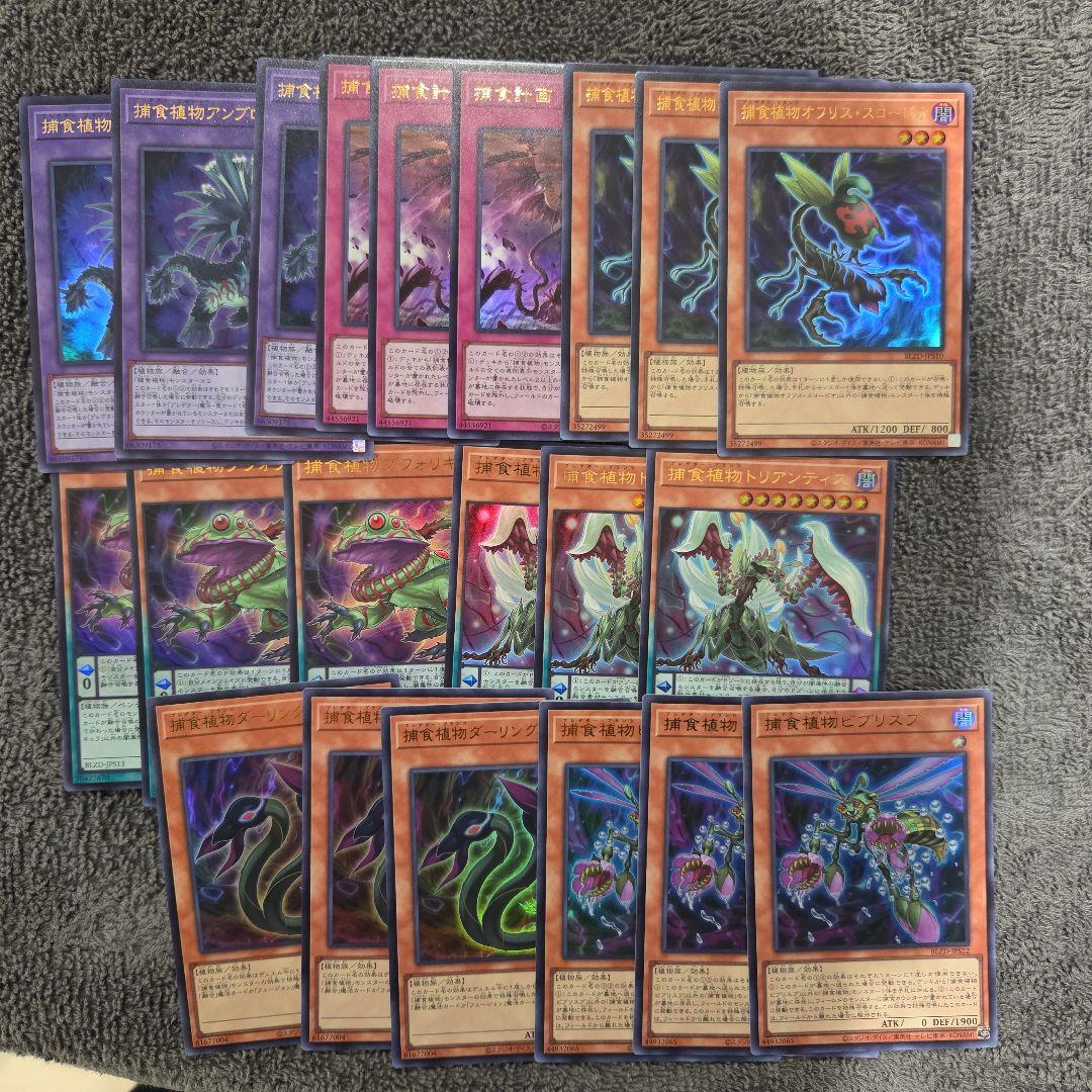 遊戯王 捕食植物/プレデタープランツ アシストパック　再録ウルトラ　３コン Amazon.co.jp: 遊戯王カード 捕食植物ヴェルテ・アナコンダ(ウルトラ