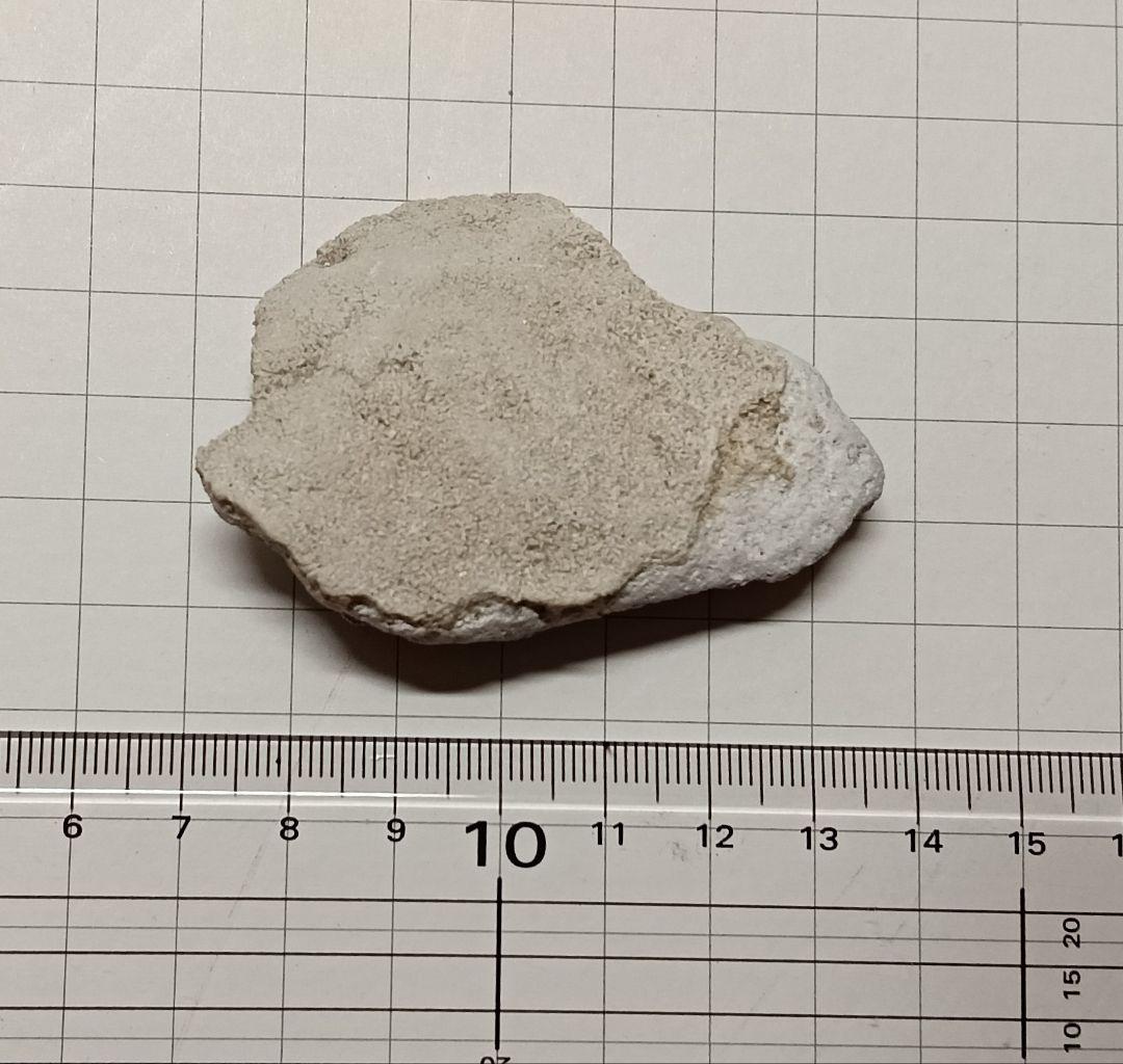 ★秋田発『北投石』４１グラム 100%本物!! 秋田玉川温泉産✨ 秋田県仙北市田沢湖町玉川温泉産 北投石結晶 (含鉛重晶