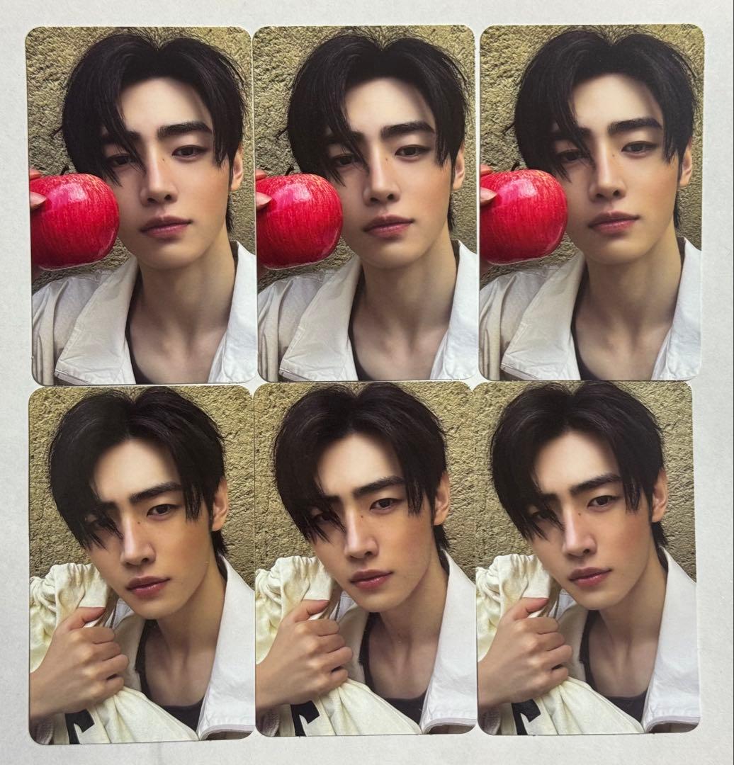 ENHYPEN THE SIN:VANISH ソンフン トレカ - メルカリ