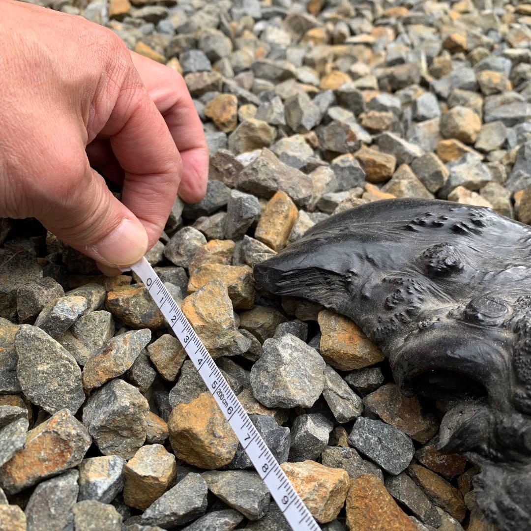 龍岩石風、揖斐石風/オブジェ - メルカリ