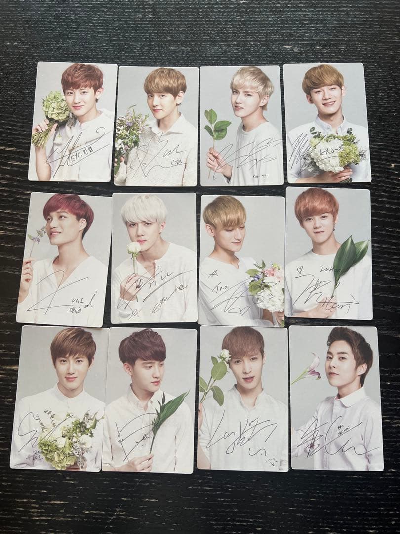 【新品未使用】nature republic EXO トレカ12枚セット EXO-L-JAPAN限定トレーディングカードファイル（トレカ1枚付き／全6種