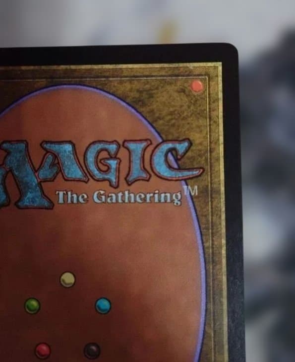 MTG グルランド《沼》