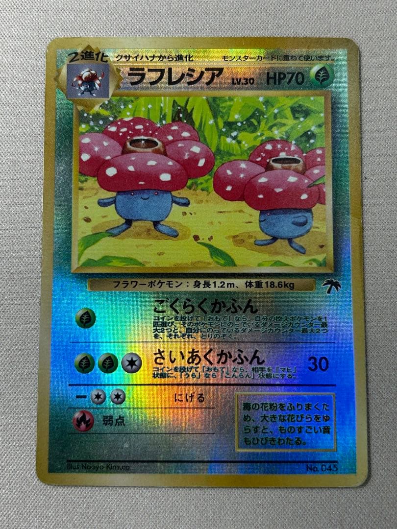 ラフレシア 映画公開記念パック サザンアイランド 旧裏 リバホロ