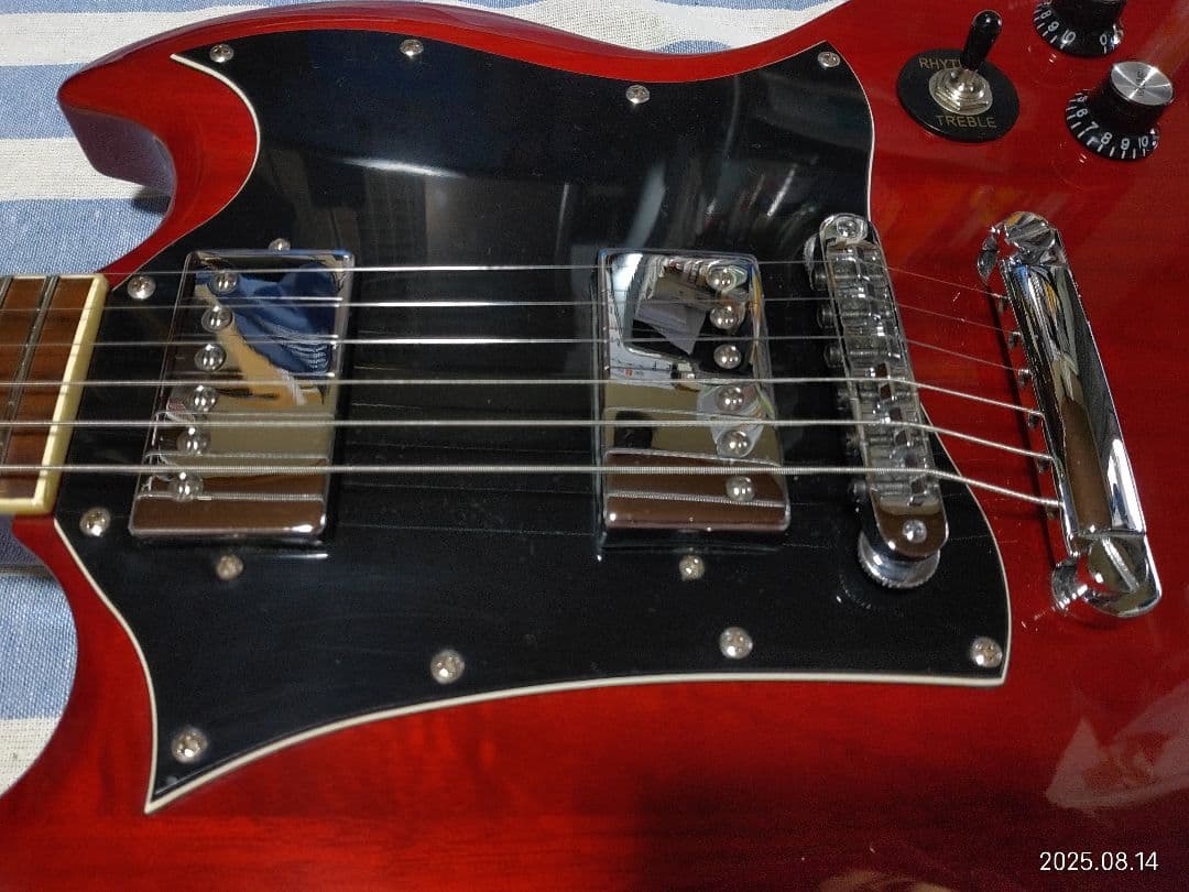 Blitz by Aria ProⅡのSGタイプのBSG−STD使用感少ない美品 - メルカリ