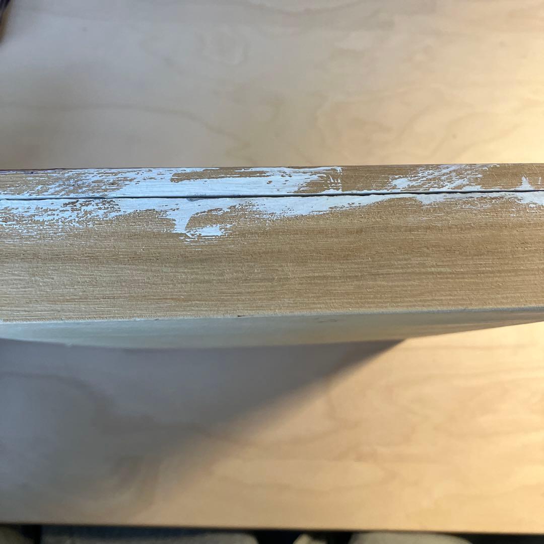 《子供手作り》SDGs作品 環境問題 手作り