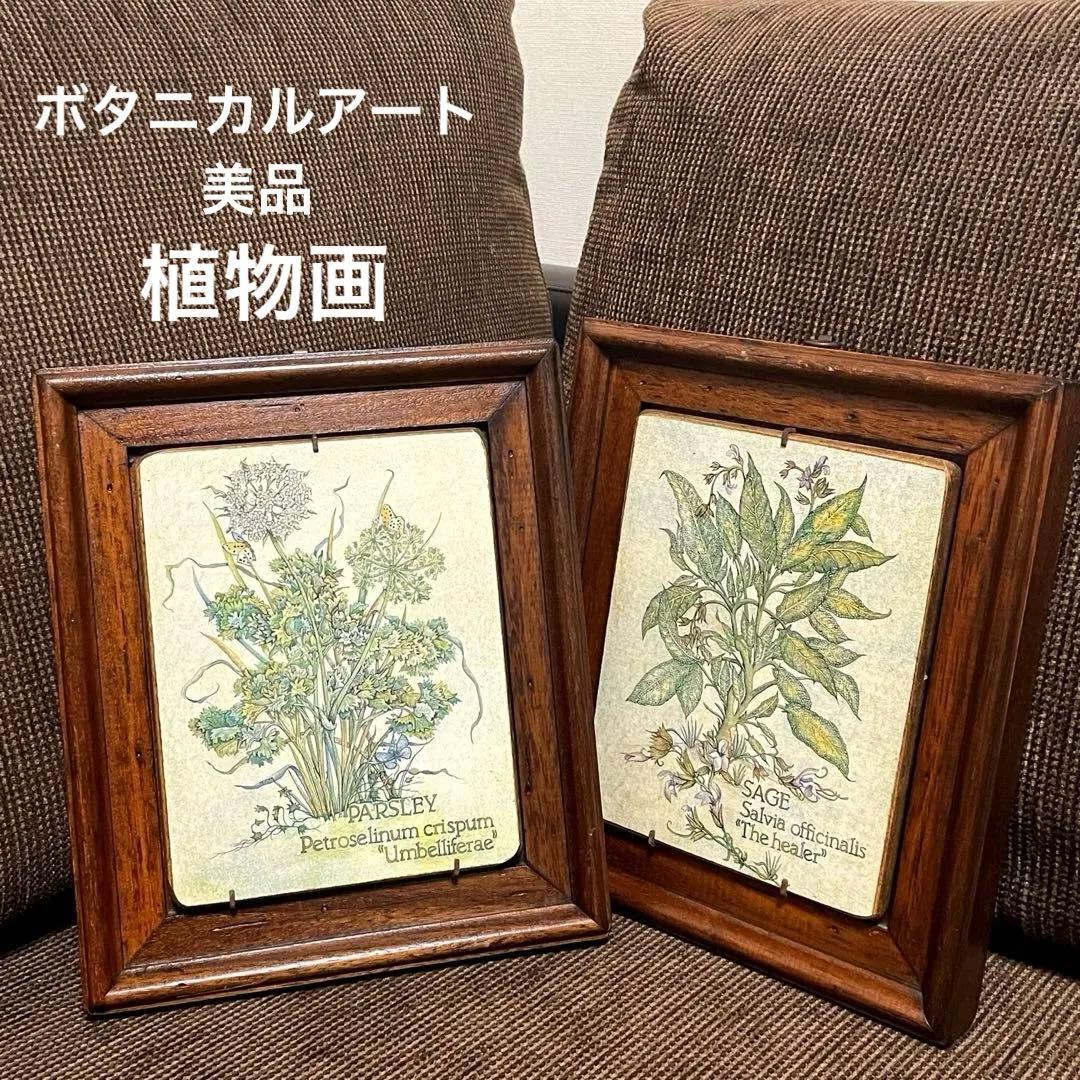 美品】 アンティーク ボタニカルアート 植物画 木製 額 2枚セット