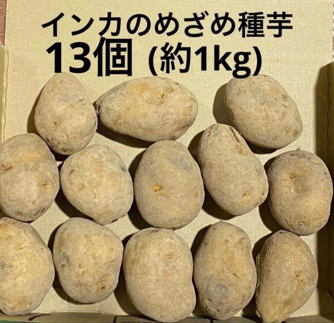 インカのめざめ 13個 約1kg 種芋 ジャガイモ 家庭菜園などに - メルカリ