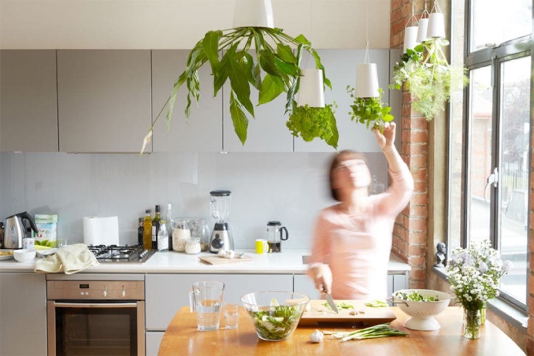 ボスケ Skyplanterスカイプランター セラミック スモール 2個セット