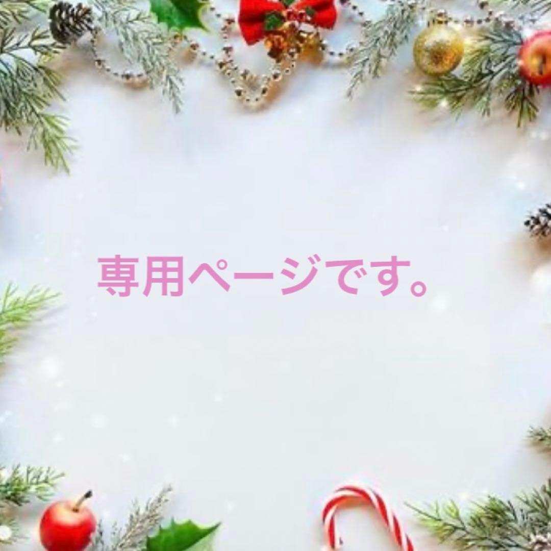 専用ページです。 トップ PS4