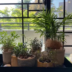 ♥掛軸 山水画 西尾 楚江 恵那市 掛け軸 骨董品 - メルカリ