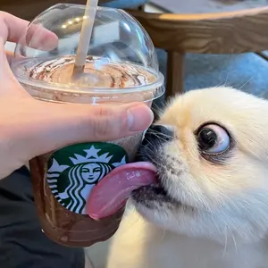 ヴェノム ポップコーンバケツ - メルカリ