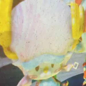 僕のヒーローアカデミア オープンスクール SSR賞 ビッグタオル 爆豪