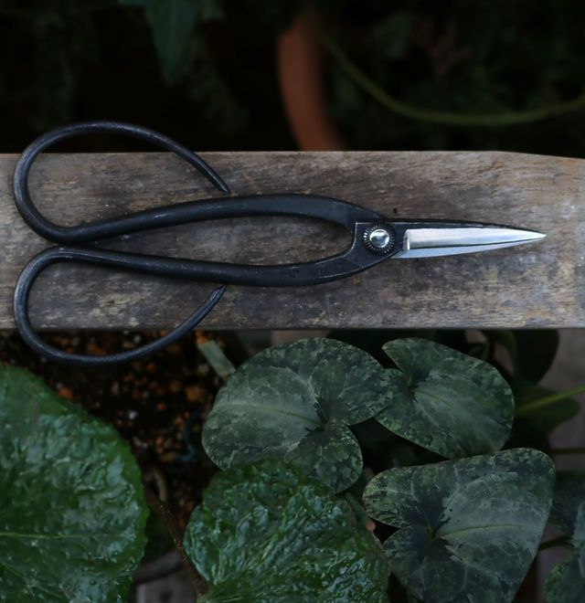 盆栽鋏の通販なら株式会社 外山刃物 | 剪定鋏や植木鋏など刃物通販なら