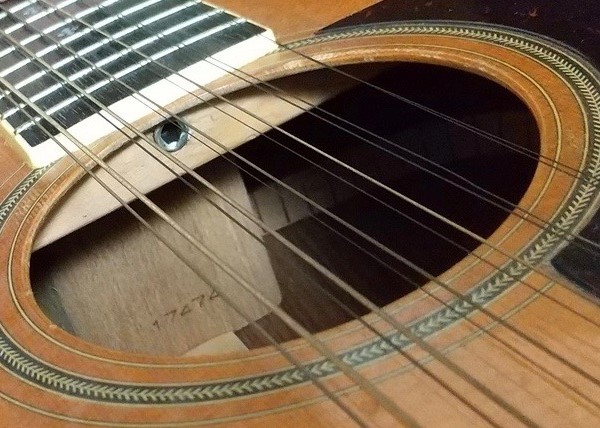 GUITAR SHOP COOL -S.Yairi Report-